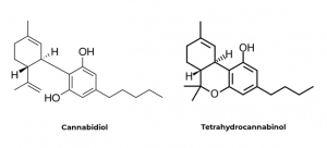 Ilustration-CBD-THC